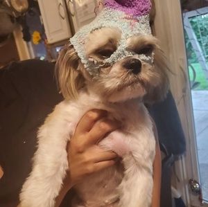 Meet your Posher, Geraldine